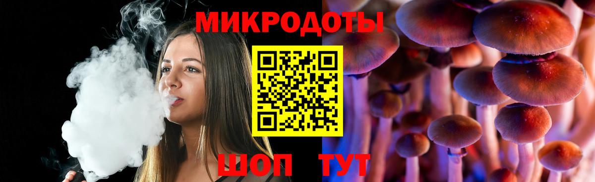 Псилоцибиновые грибы Psilocybe Коряжма